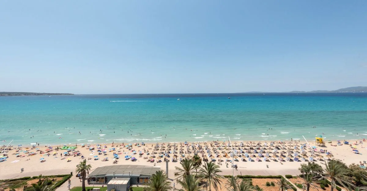 Vue aérienne de baigneurs sur une plage animée de Palma en été.